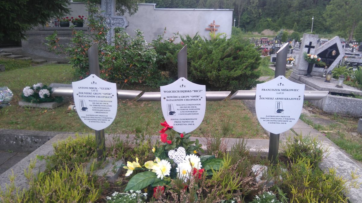 kw_366_I_i_II_wojna_Limanowa_201906_MUW33_Miskowiec_Mruk_Debski-min.JPG