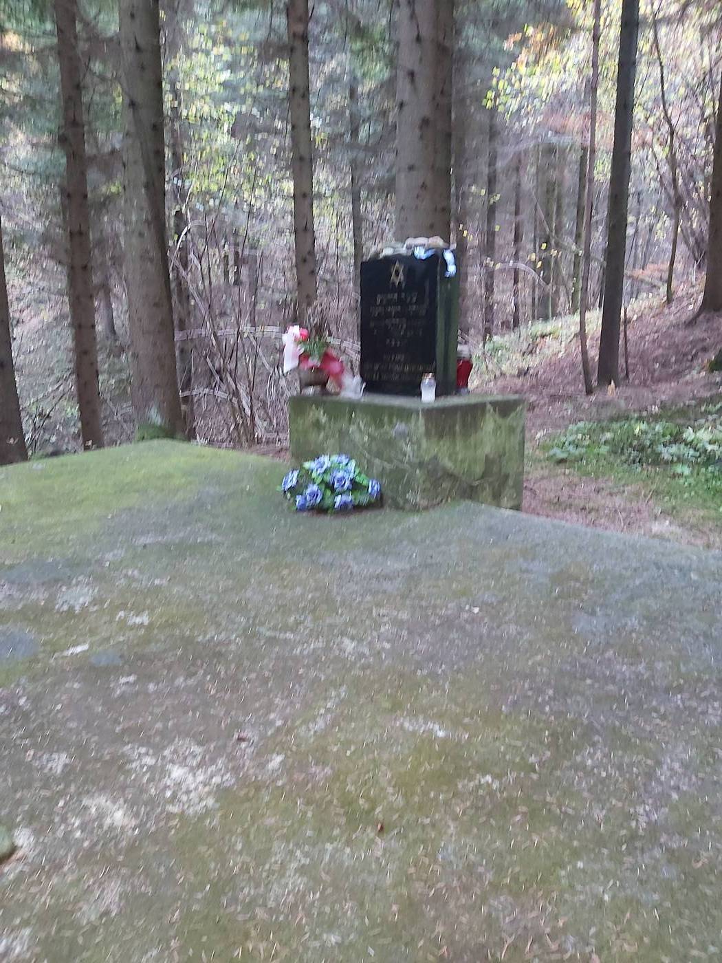 MOGIŁA ZBIOROWA ŻYDÓW, OFIAR TERRORU HITLEROWSKIEGO Z 1942 R. W RZEPIENNIKU BISKUPIM