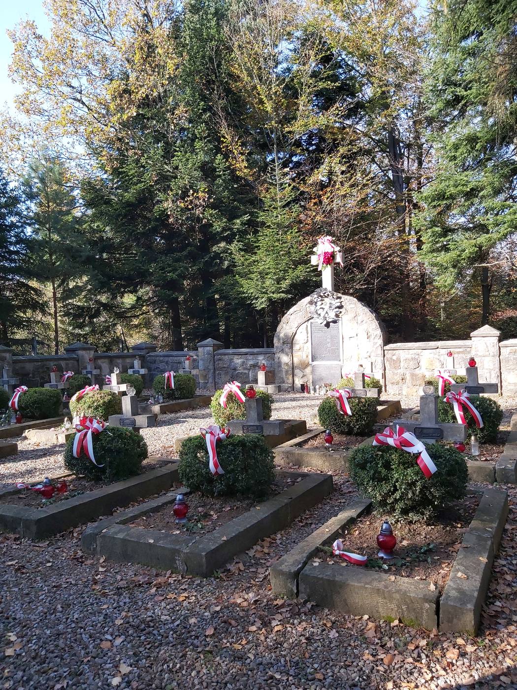 CMENTARZ WOJENNY ŻOŁNIERZY ARMII KRAJOWEJ Z 1944 R. W RZEPIENNIKU STRZYŻEWSKIM