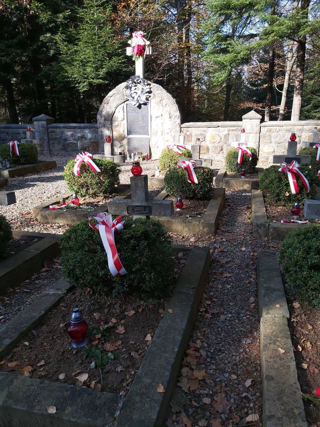 CMENTARZ WOJENNY ŻOŁNIERZY ARMII KRAJOWEJ Z 1944 R. W RZEPIENNIKU STRZYŻEWSKIM