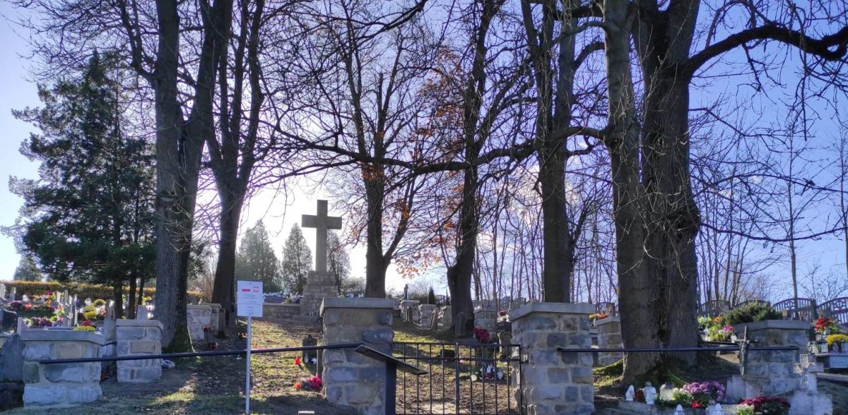 kwatera wojenna nr 135 Zborowice