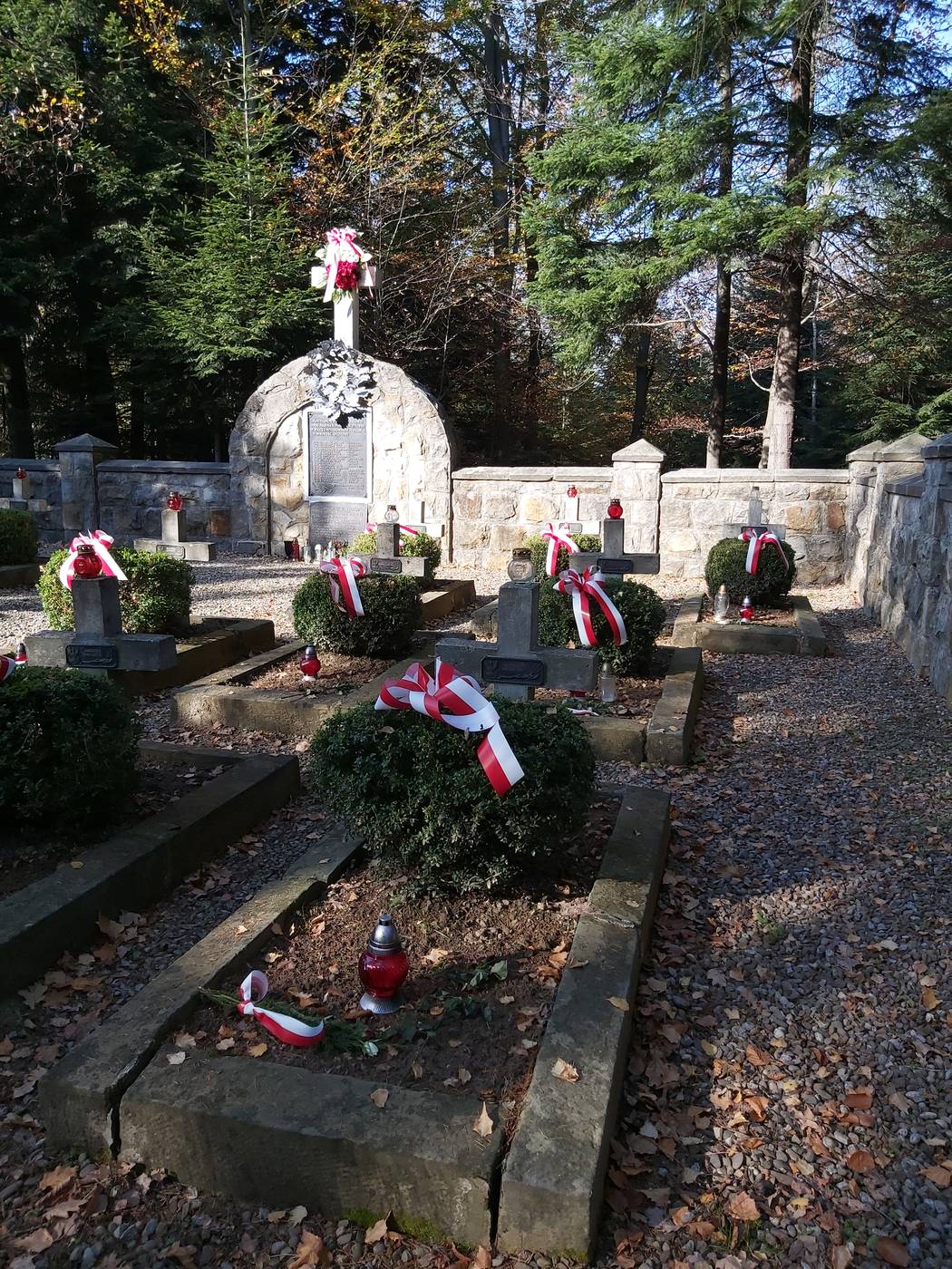 CMENTARZ WOJENNY ŻOŁNIERZY ARMII KRAJOWEJ Z 1944 R. W RZEPIENNIKU STRZYŻEWSKIM