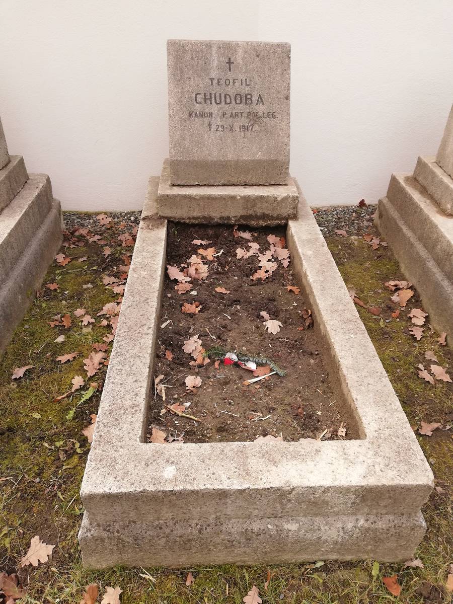 Teofil_Chudoba_pas_50_legionisci_MUW_20191210_34.jpg